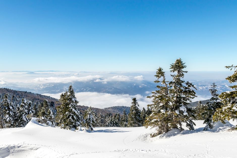 Snowy mountain view with pine trees in Bursa's winter landscape.