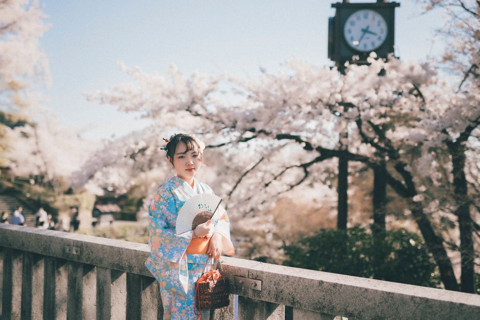 A woman in traditional kimono stands on a bridge amidst cherry blossoms during spring.