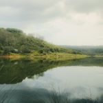 Allbirds vs. On Cloud: The Better Everyday Sneaker in 2026