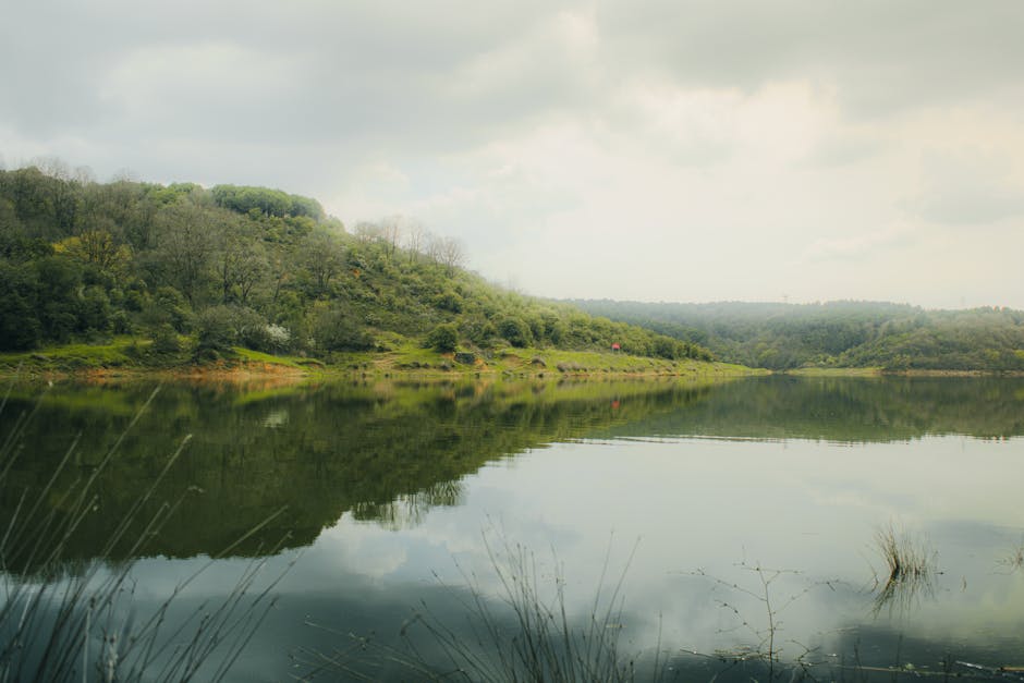 Allbirds vs. On Cloud: The Better Everyday Sneaker in 2026